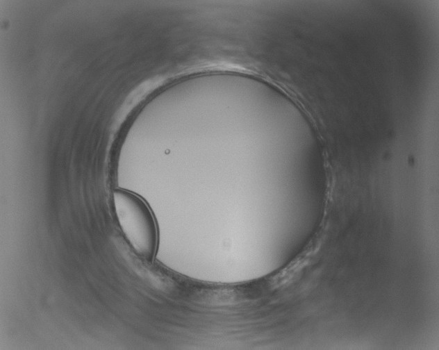 X0000052610104200507010949