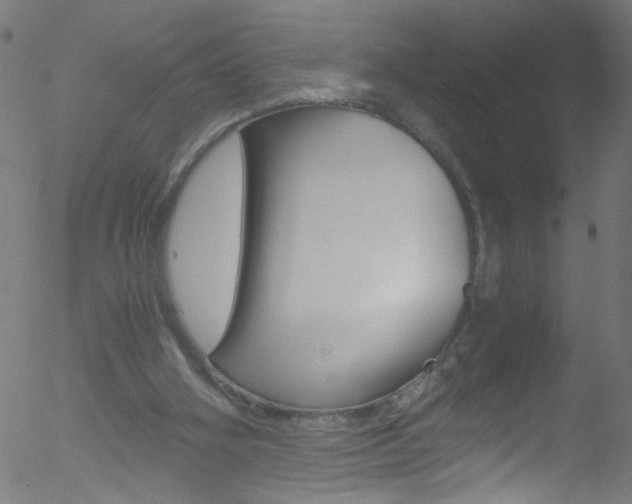 X0000052610106200507010949