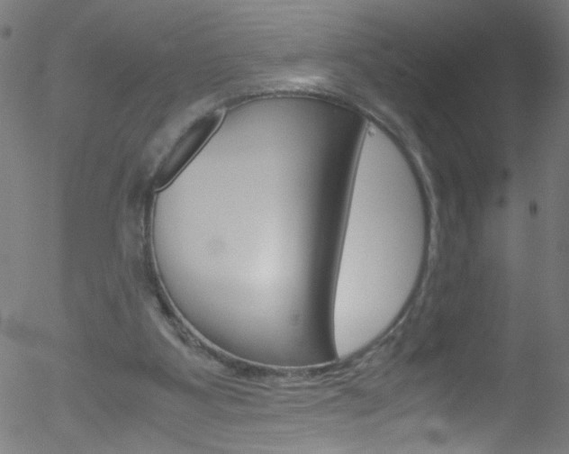 X0000052610107200507010949