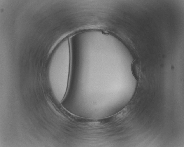 X0000052610108200507010949