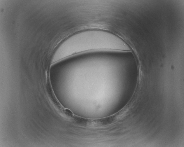 X0000052610109200507010949