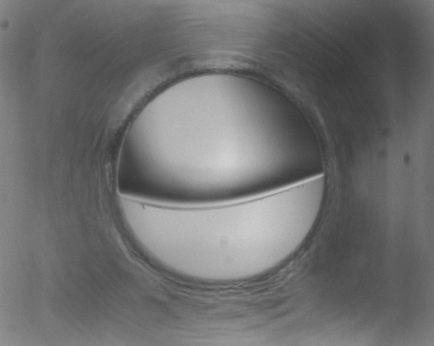 X0000052610111200507010949