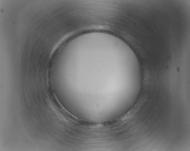 X0000052610112200507010949