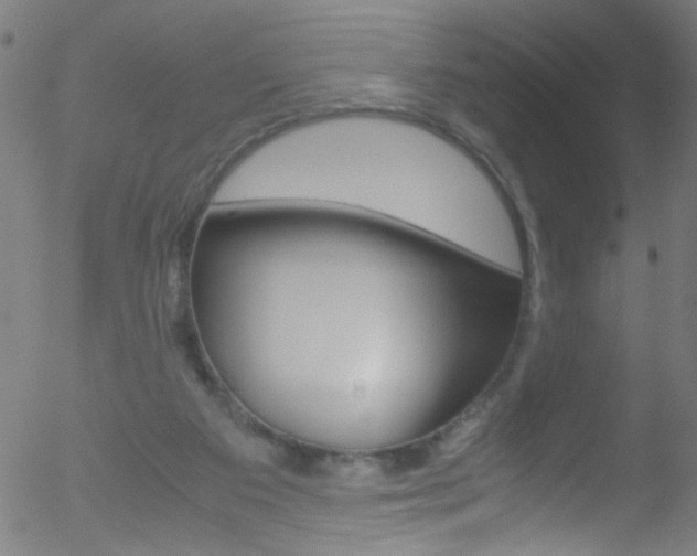 X0000052610113200507010949