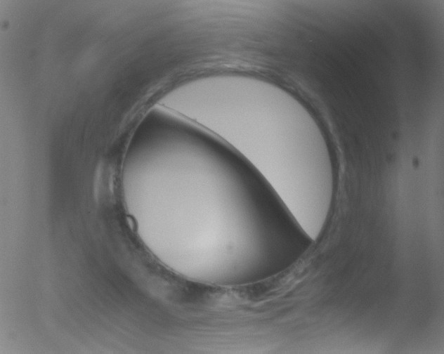 X0000052610115200507010949