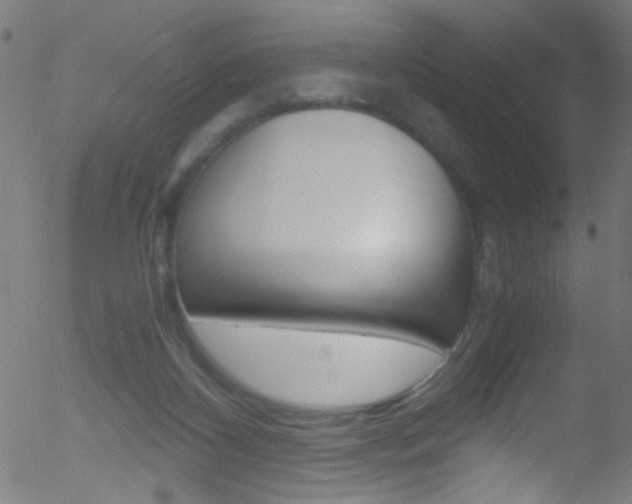 X0000052610116200507010949