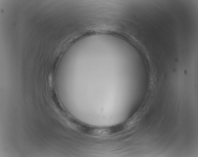 X0000052610117200507010949