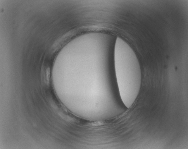 X0000052610118200507010949