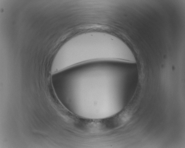 X0000052610119200507010949