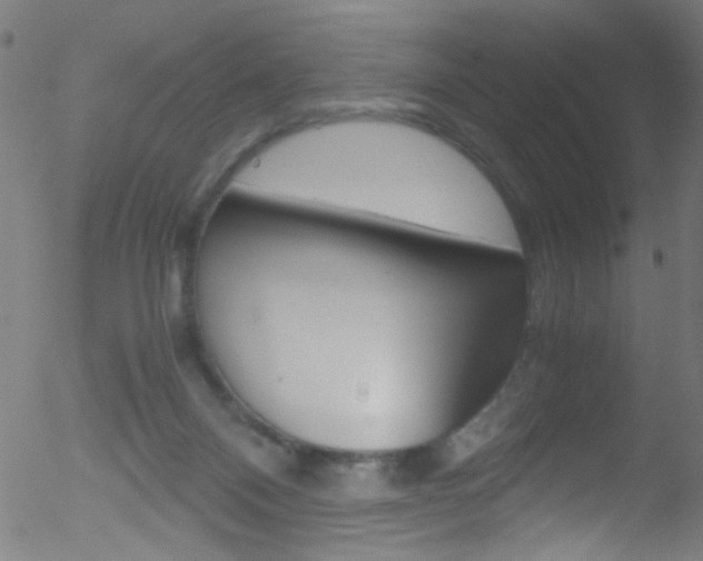 X0000052610120200507010949