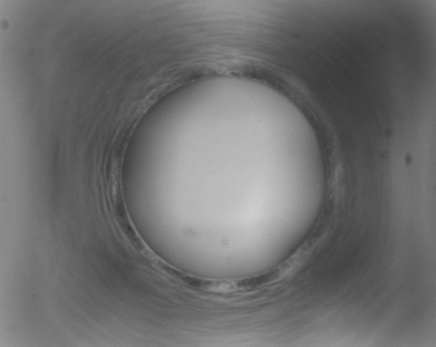 X0000052610121200507010949