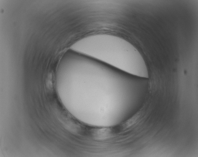 X0000052610122200507010948