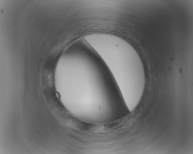 X0000052610123200507010948