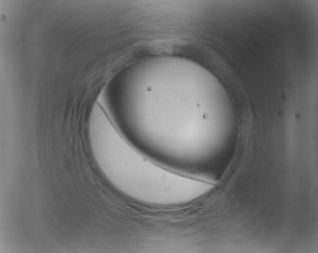 X0000052610125200507010948