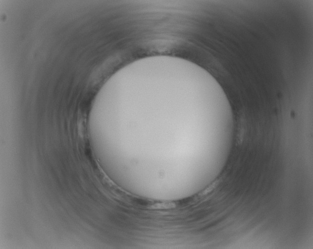 X0000052610126200507010948