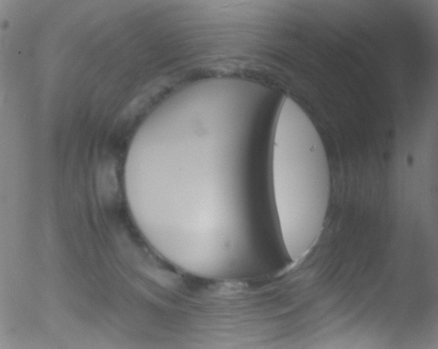 X0000052610128200507010948