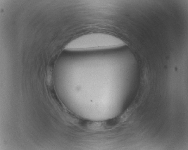 X0000052610129200507010948