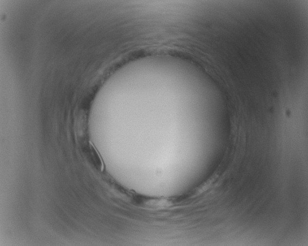 X0000052610133200507010948