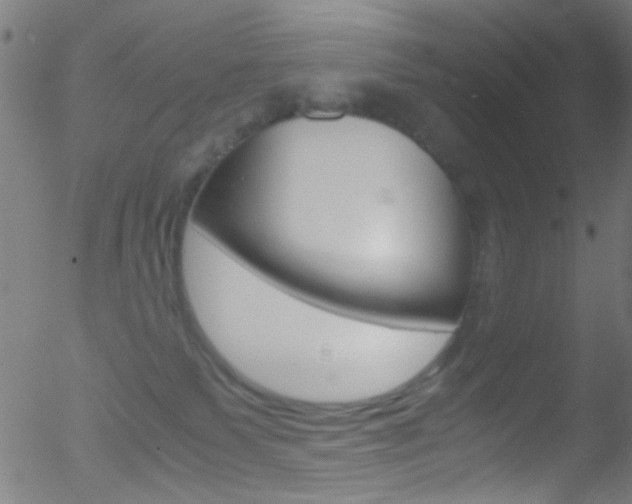 X0000052610135200507010948