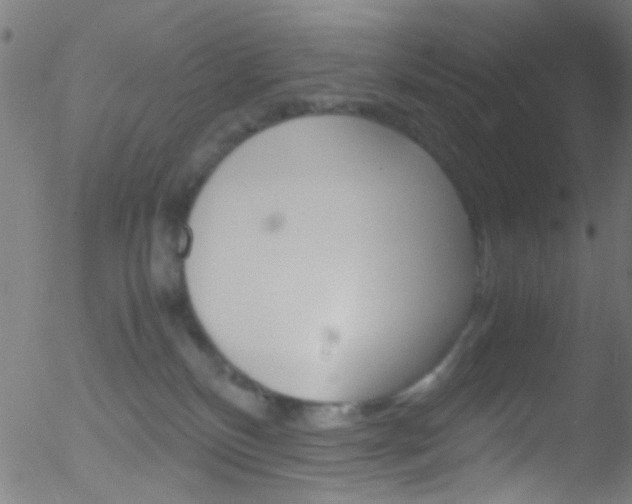 X0000052610136200507010948