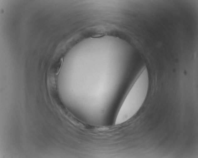 X0000052610137200507010948