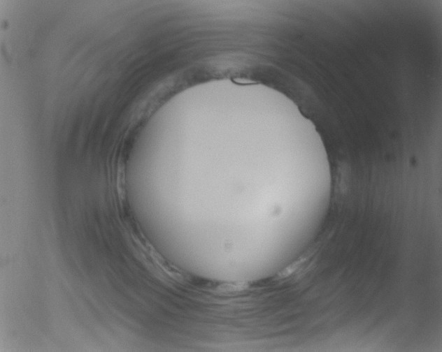 X0000052610138200507010948