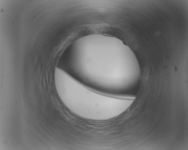 X0000052610139200507010948