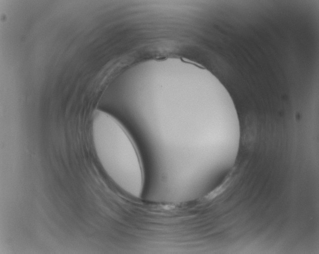 X0000052610140200507010948