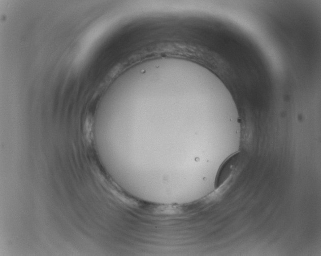 X0000052610142200507010948