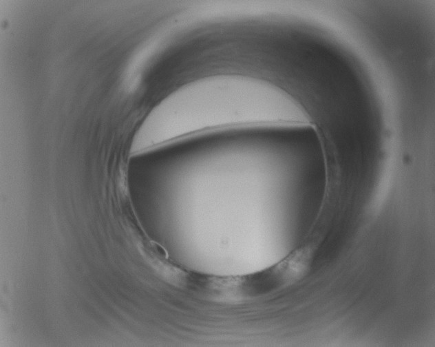 X0000052610143200507010948