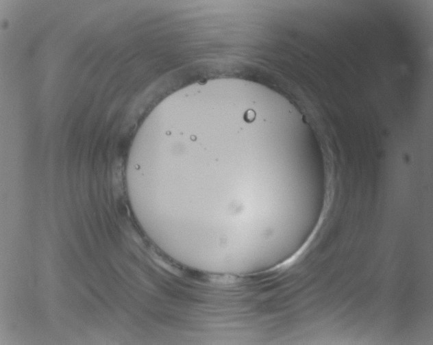 X0000052610144200507010948