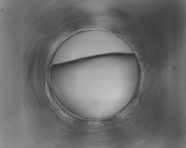 X0000052610145200507010947