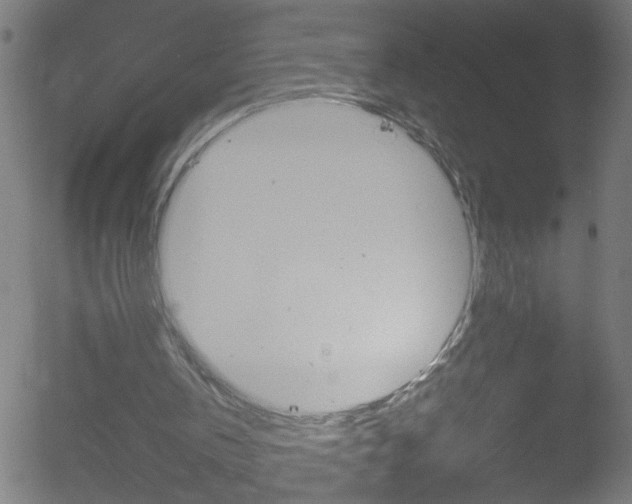 X0000052610146200507010947