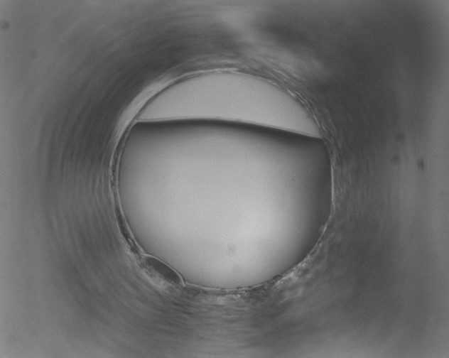 X0000052610147200507010947