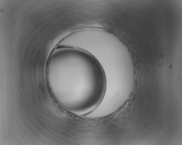 X0000052610148200507010947