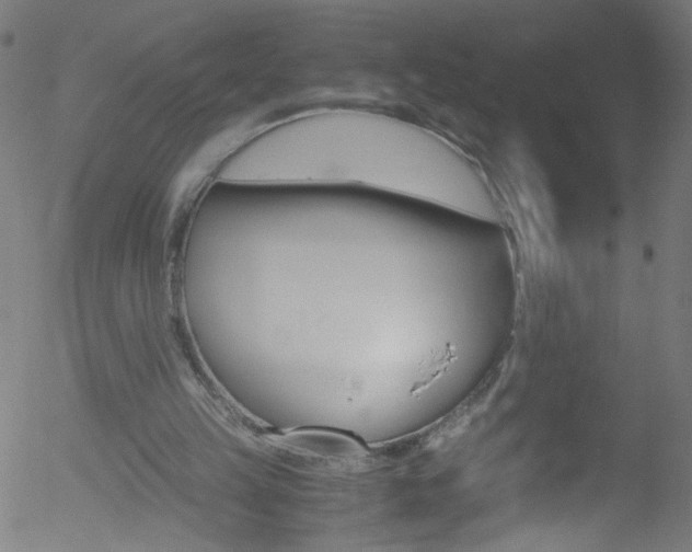 X0000052610149200507010947