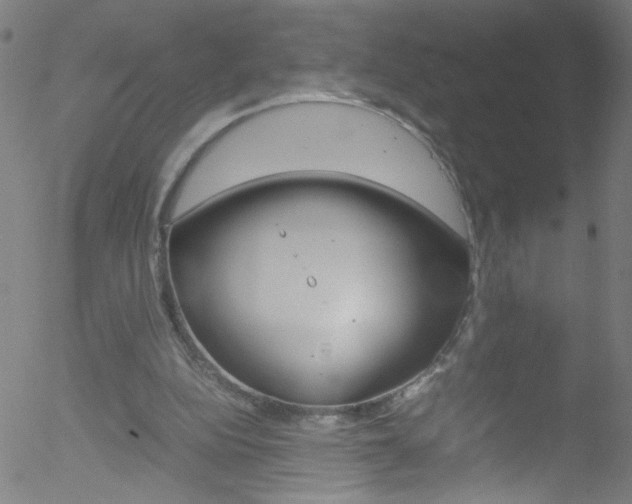 X0000052610152200507010947