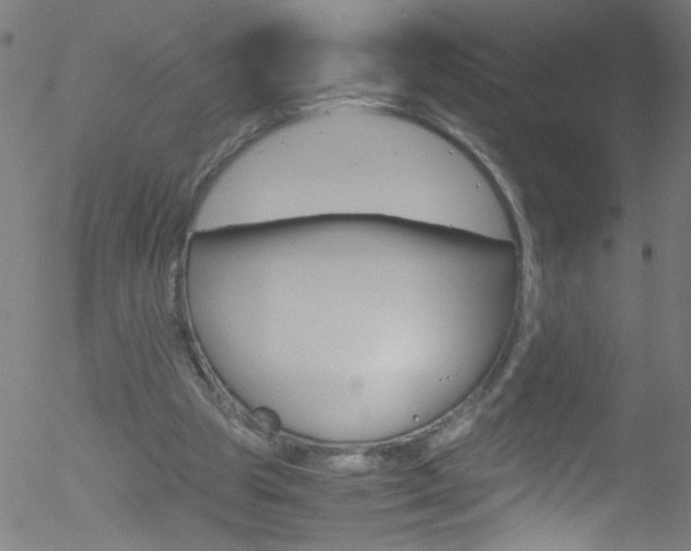 X0000052610153200507010947