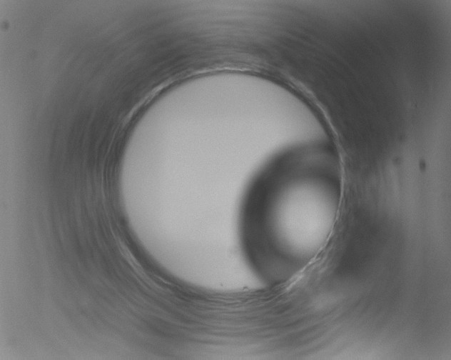 X0000052610154200507010947