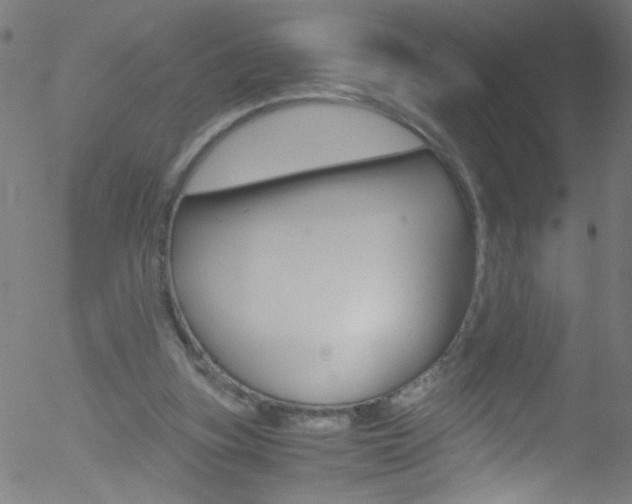 X0000052610155200507010948