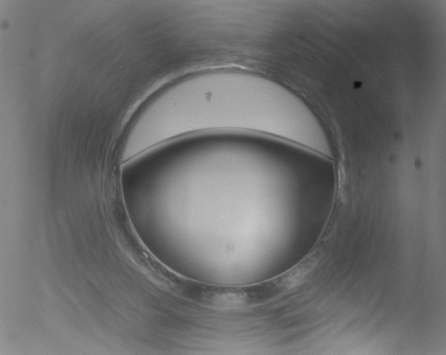 X0000052610156200507010948