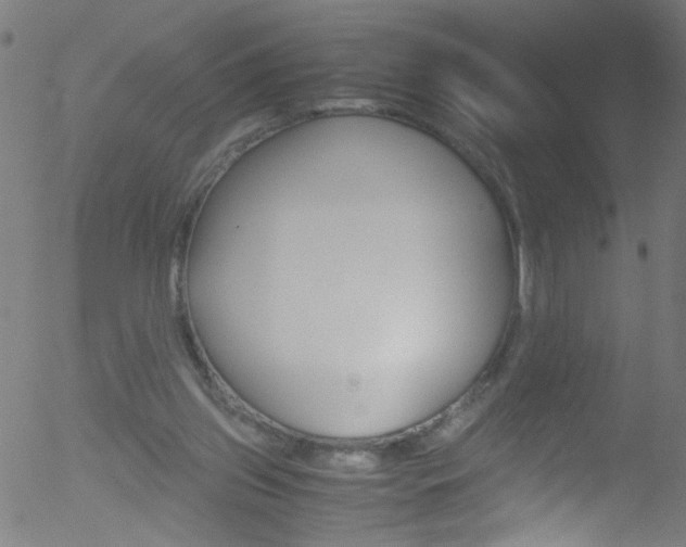 X0000052610157200507010948