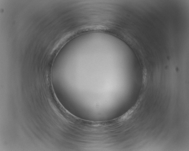 X0000052610158200507010948