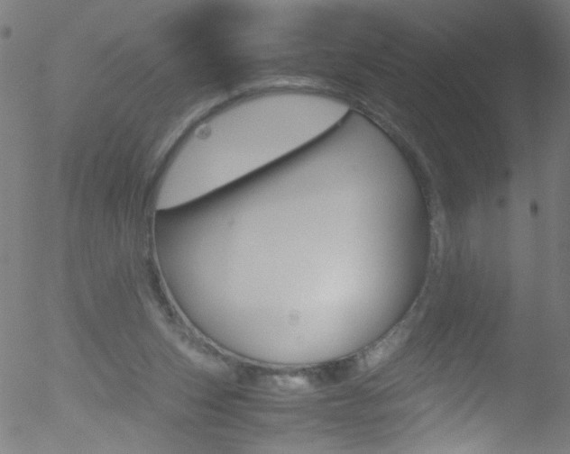 X0000052610159200507010948