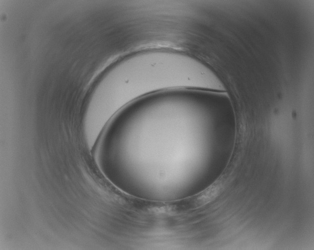 X0000052610160200507010948