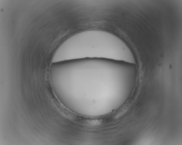 X0000052610161200507010948