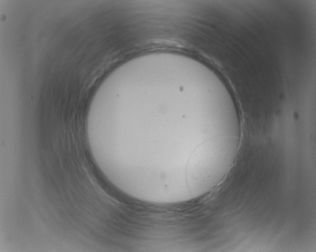 X0000052610162200507010948