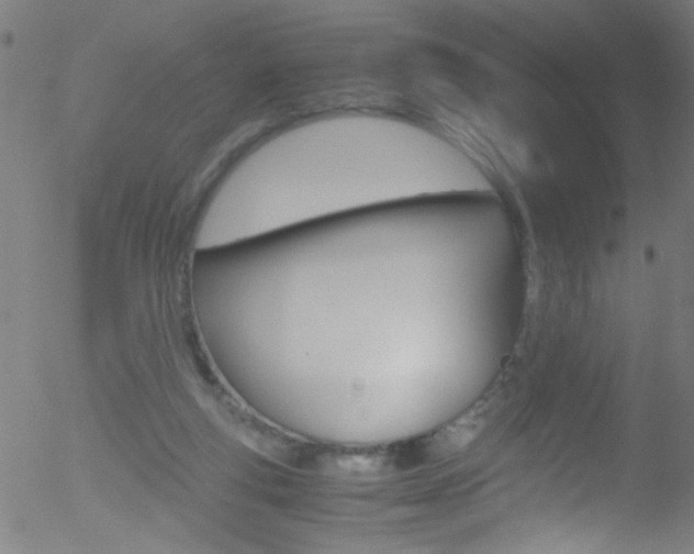 X0000052610163200507010948