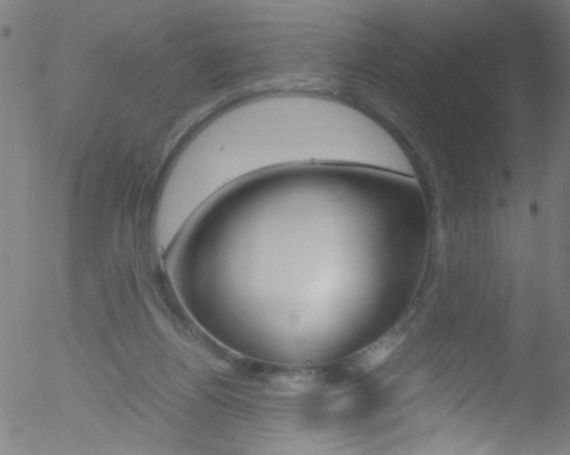 X0000052610164200507010948