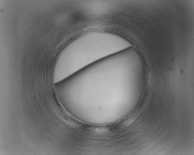 X0000052610165200507010948